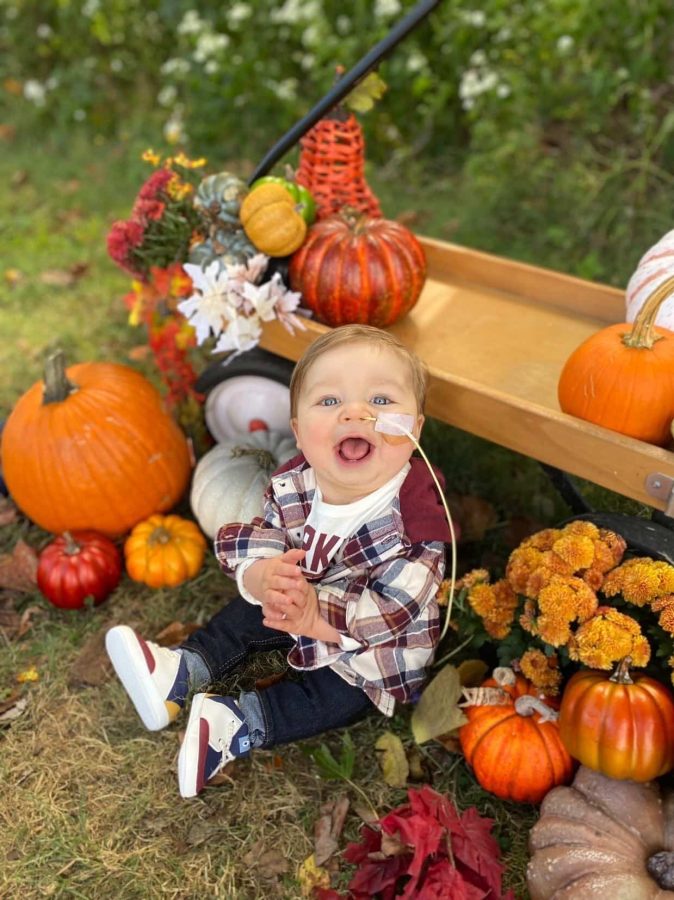 Image of Holsten - Around in pumpkins