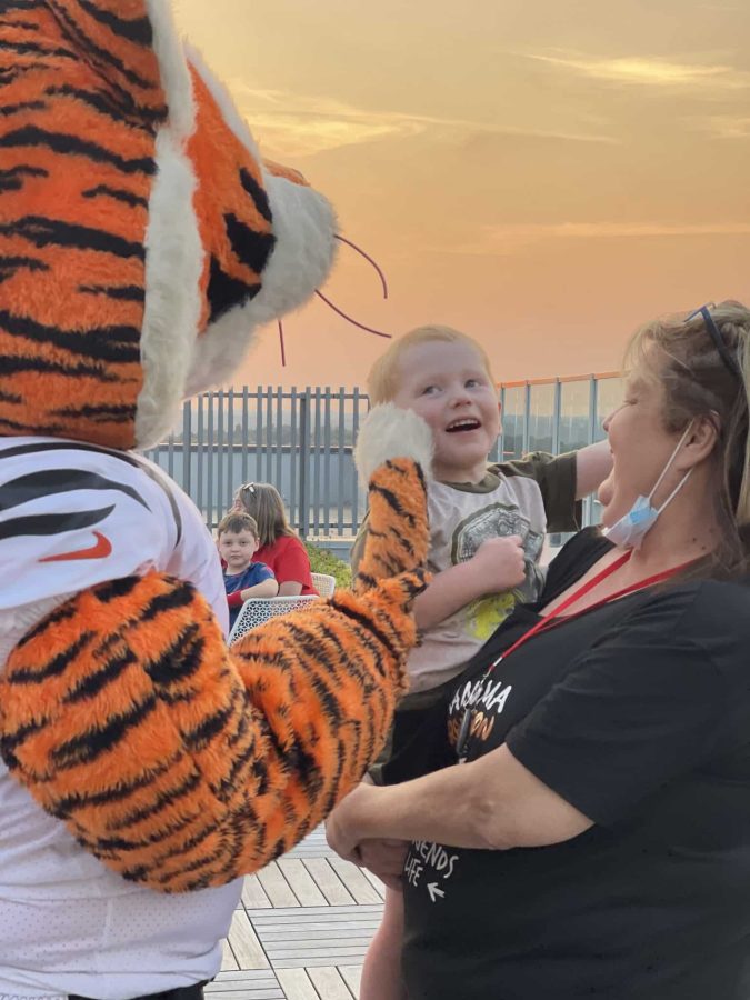 Image from Moments of Joy - Kid looking at the Bengals mascot