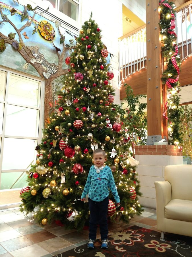 Image of Ash under a Christmas tree