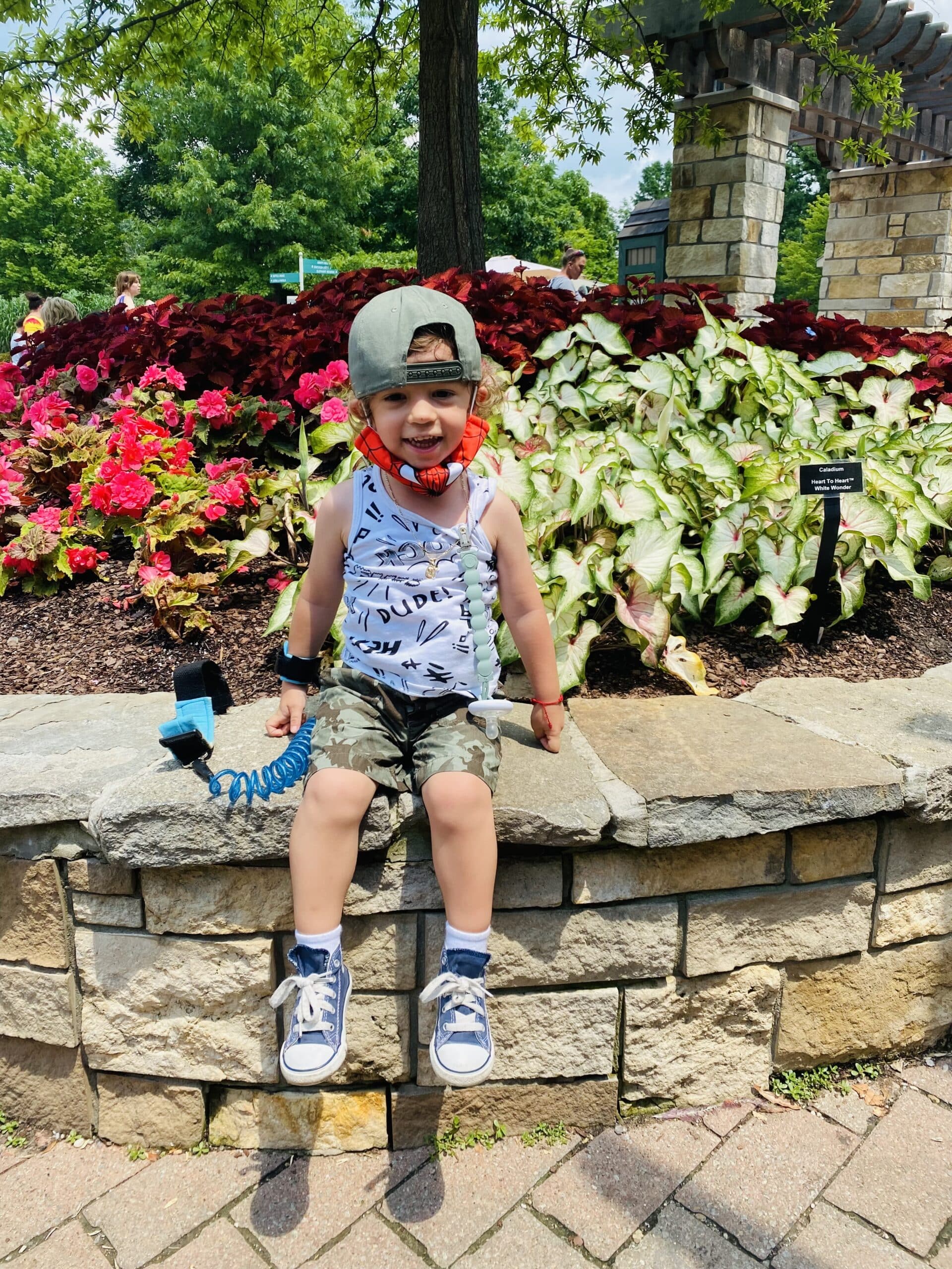 Young boy sitting in front of flowers.