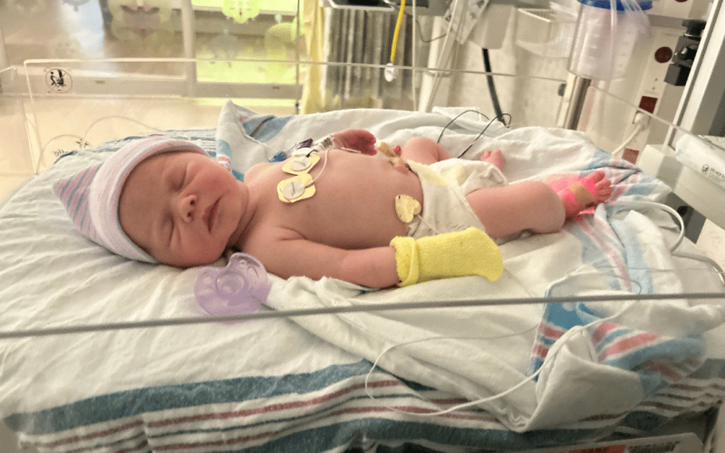 News stories website (7)